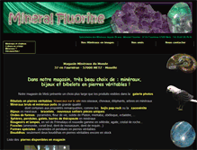 Tablet Screenshot of mineral-fluorine.com